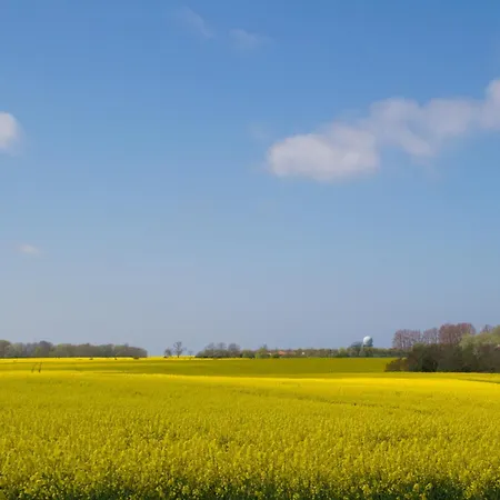 Apartamento Havingblick Am Yachthafen In Seedorf *