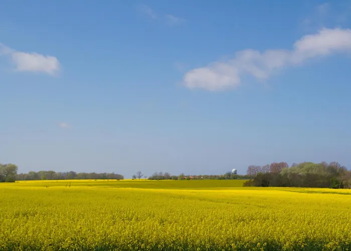 Appartement Havingblick Am Yachthafen In Seedorf *